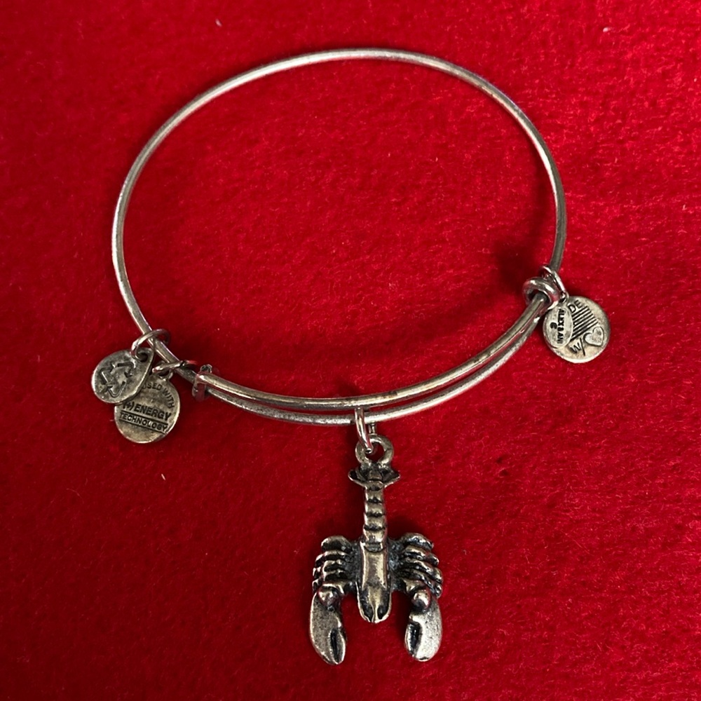 Lobster Alex and Ani bracelet